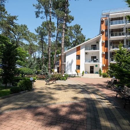 Buxus Hotel Shekvetili Zewnętrze zdjęcie