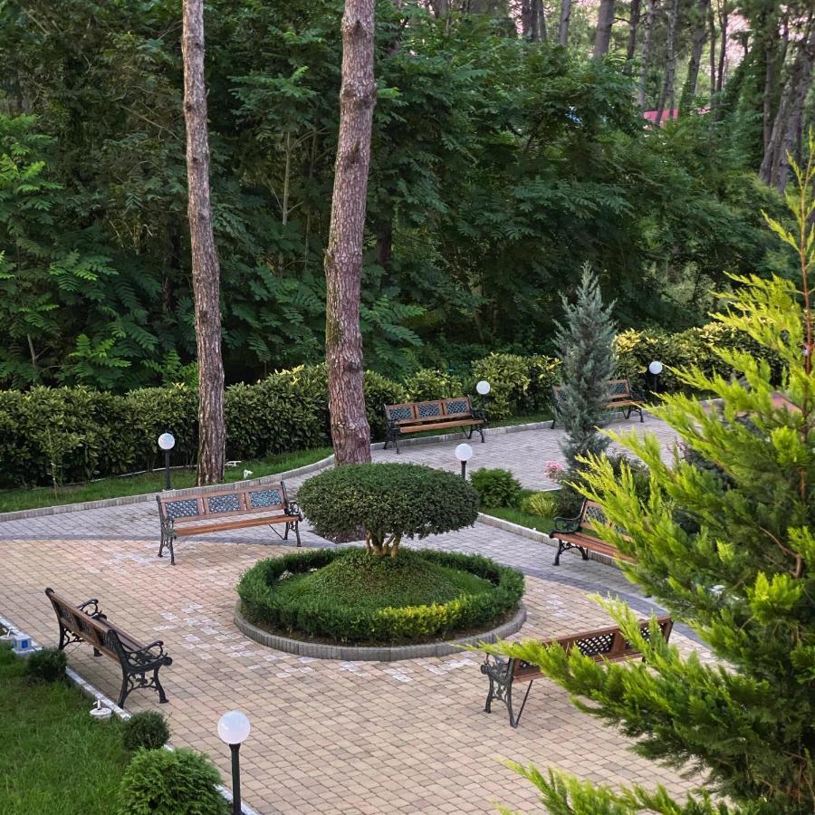 Buxus Hotel Shekvetili Zewnętrze zdjęcie