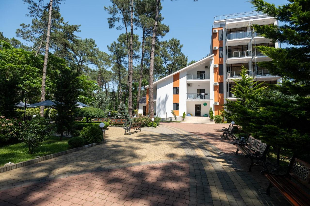 Buxus Hotel Shekvetili Zewnętrze zdjęcie