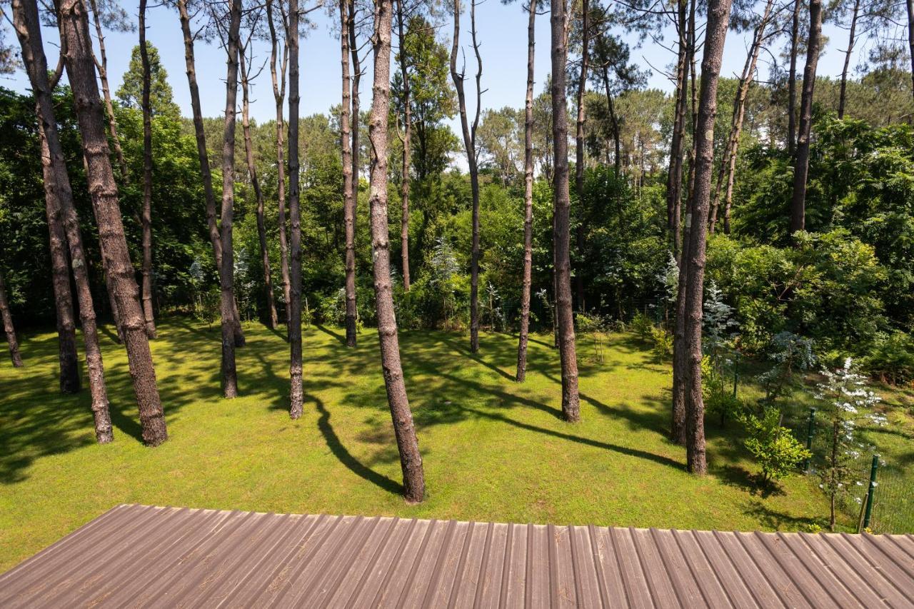 Buxus Hotel Shekvetili Zewnętrze zdjęcie