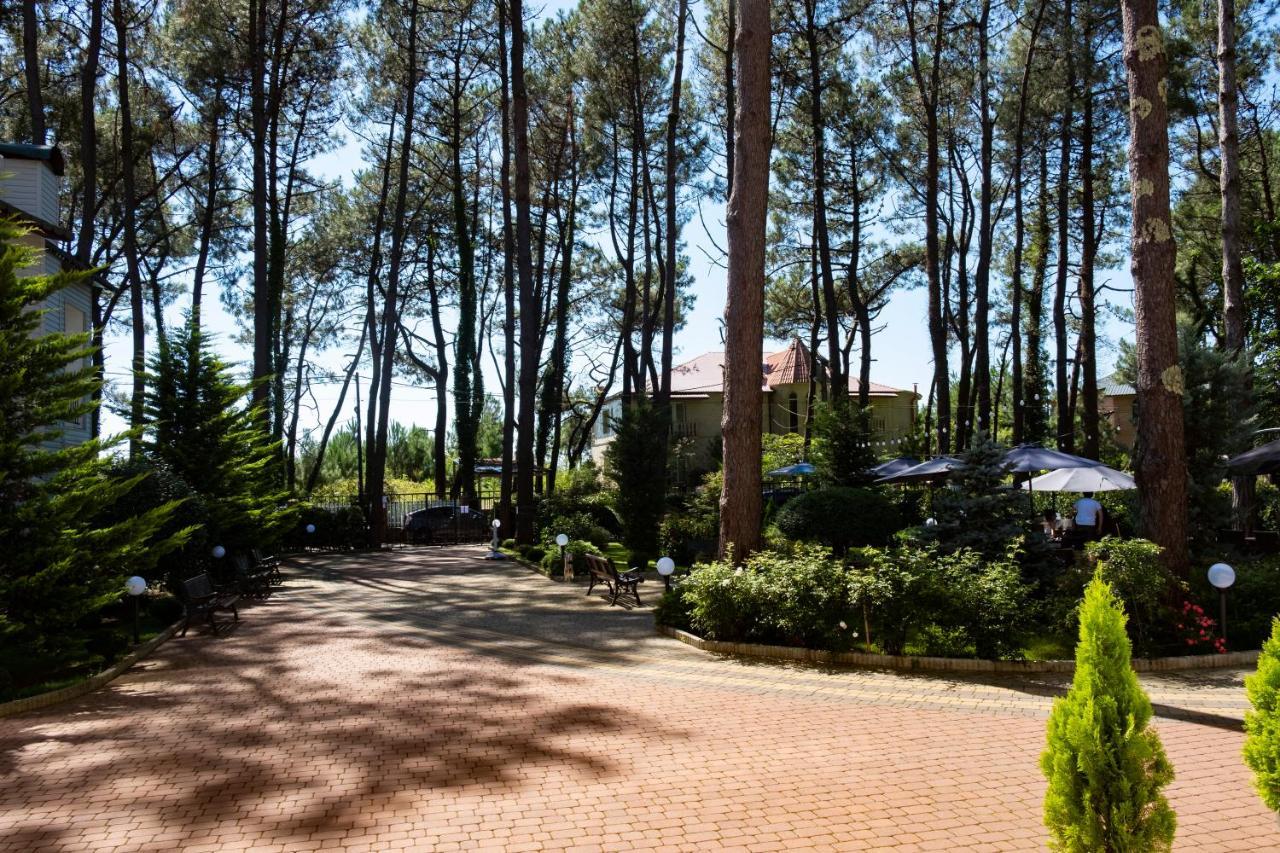 Buxus Hotel Shekvetili Zewnętrze zdjęcie