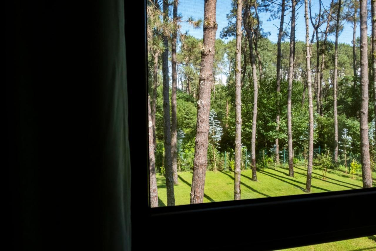 Buxus Hotel Shekvetili Zewnętrze zdjęcie