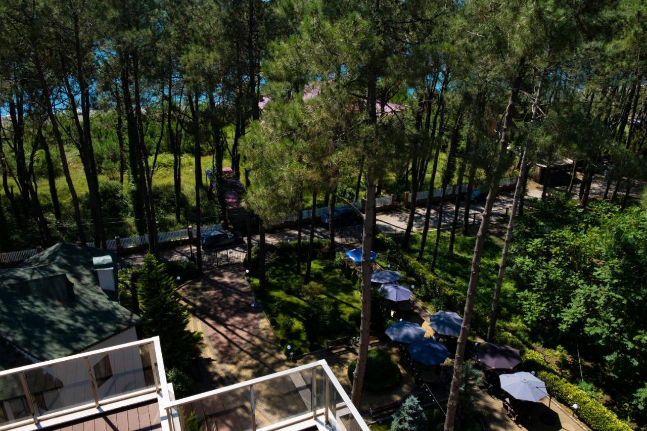 Buxus Hotel Shekvetili Zewnętrze zdjęcie