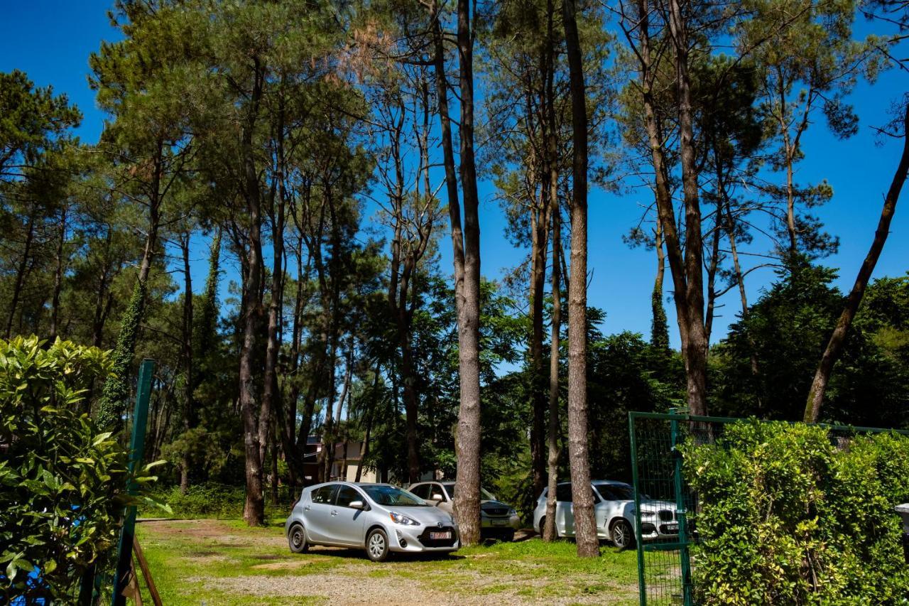 Buxus Hotel Shekvetili Zewnętrze zdjęcie
