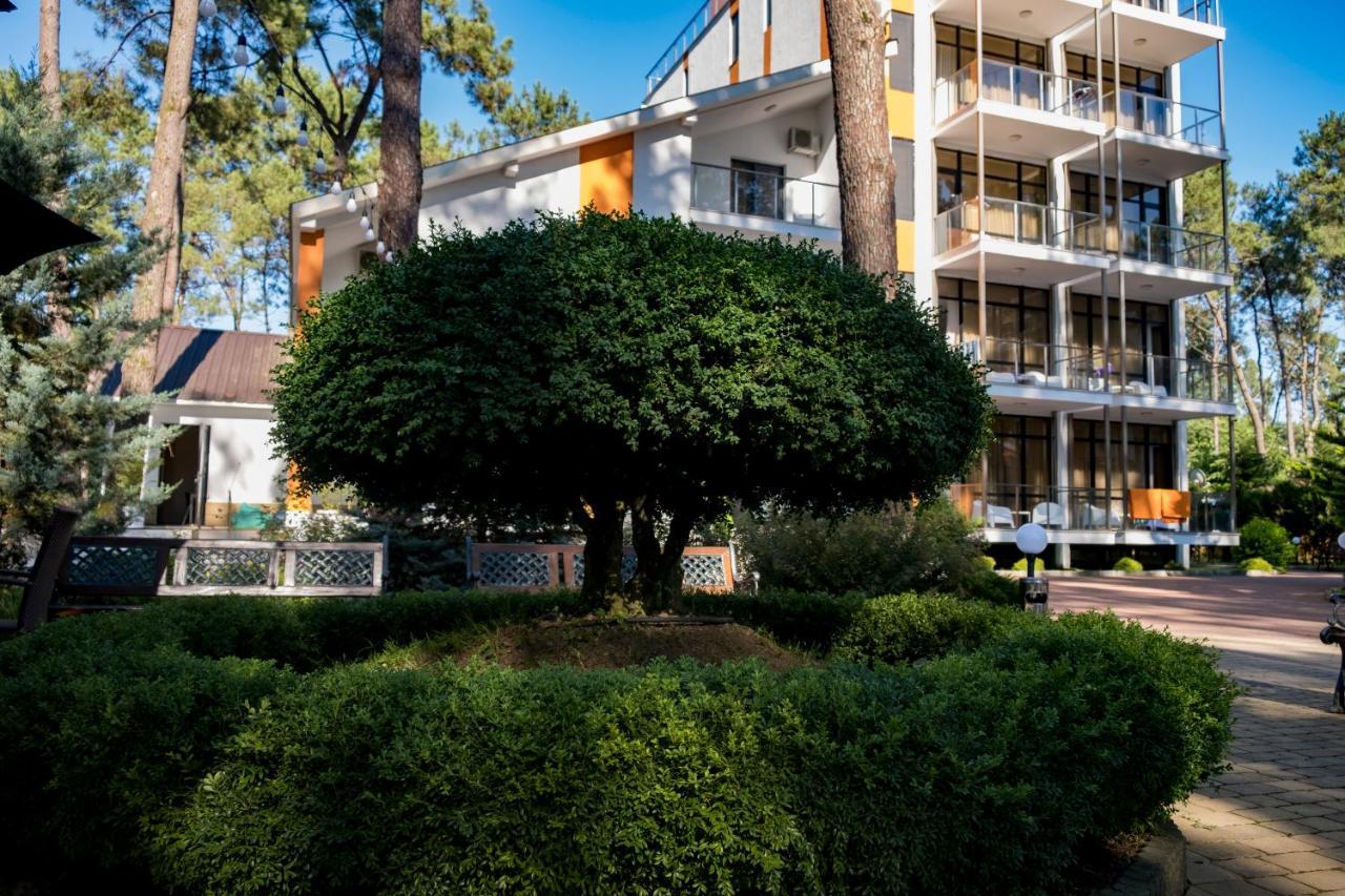 Buxus Hotel Shekvetili Zewnętrze zdjęcie