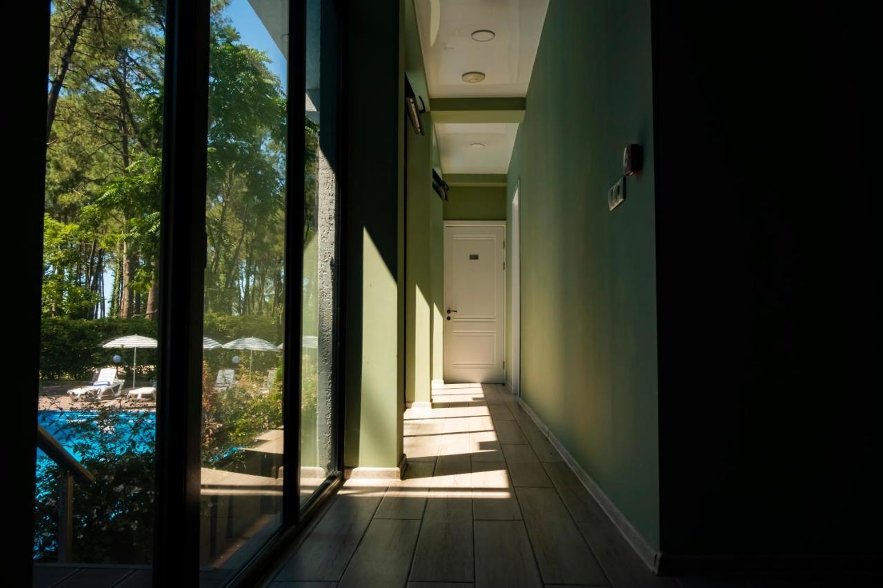 Buxus Hotel Shekvetili Zewnętrze zdjęcie