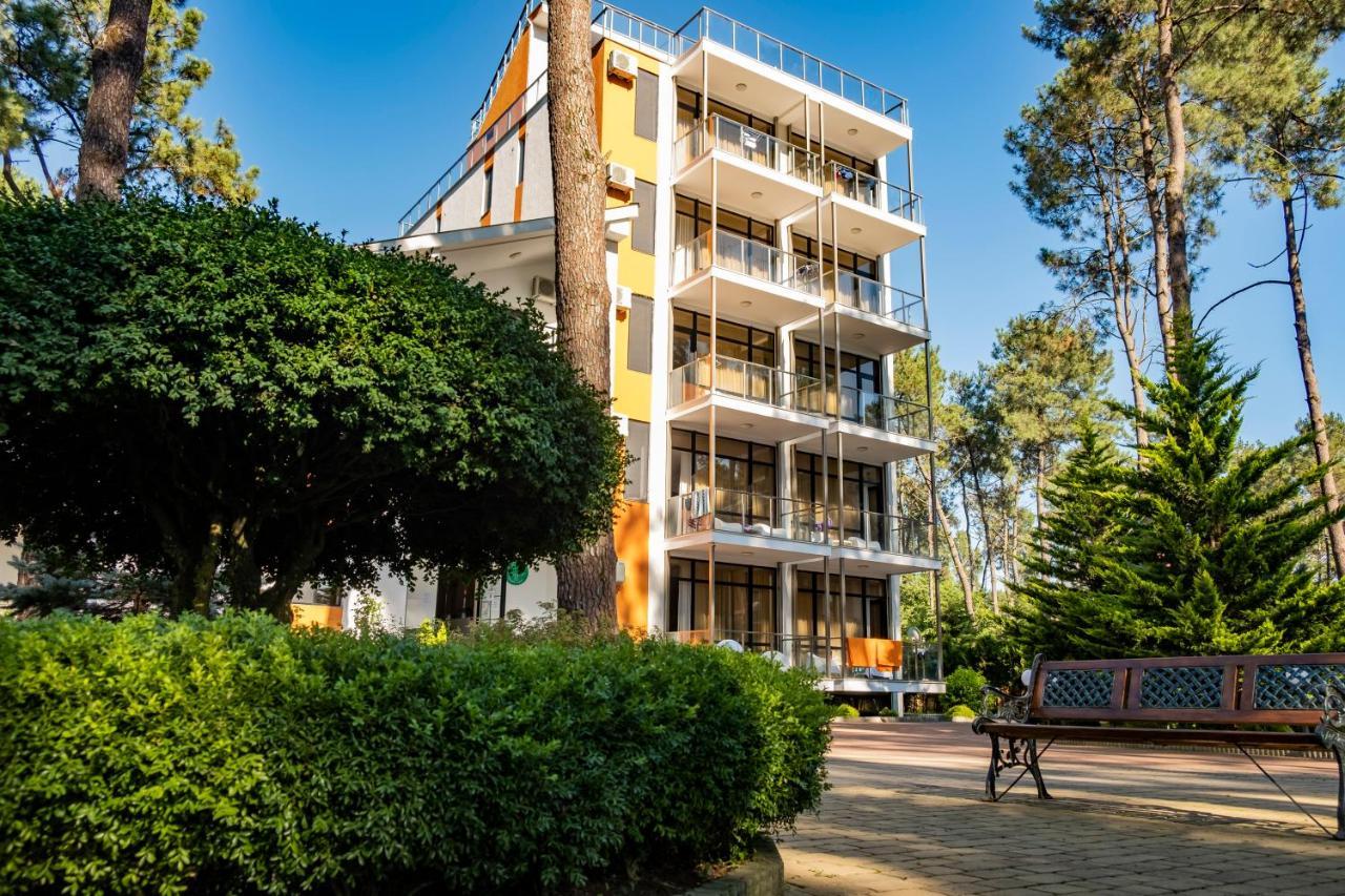 Buxus Hotel Shekvetili Zewnętrze zdjęcie
