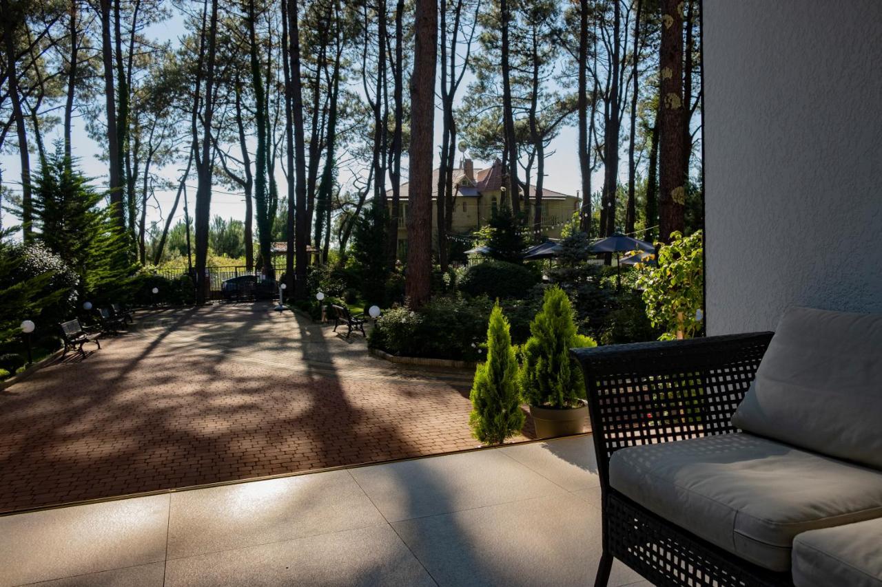 Buxus Hotel Shekvetili Zewnętrze zdjęcie